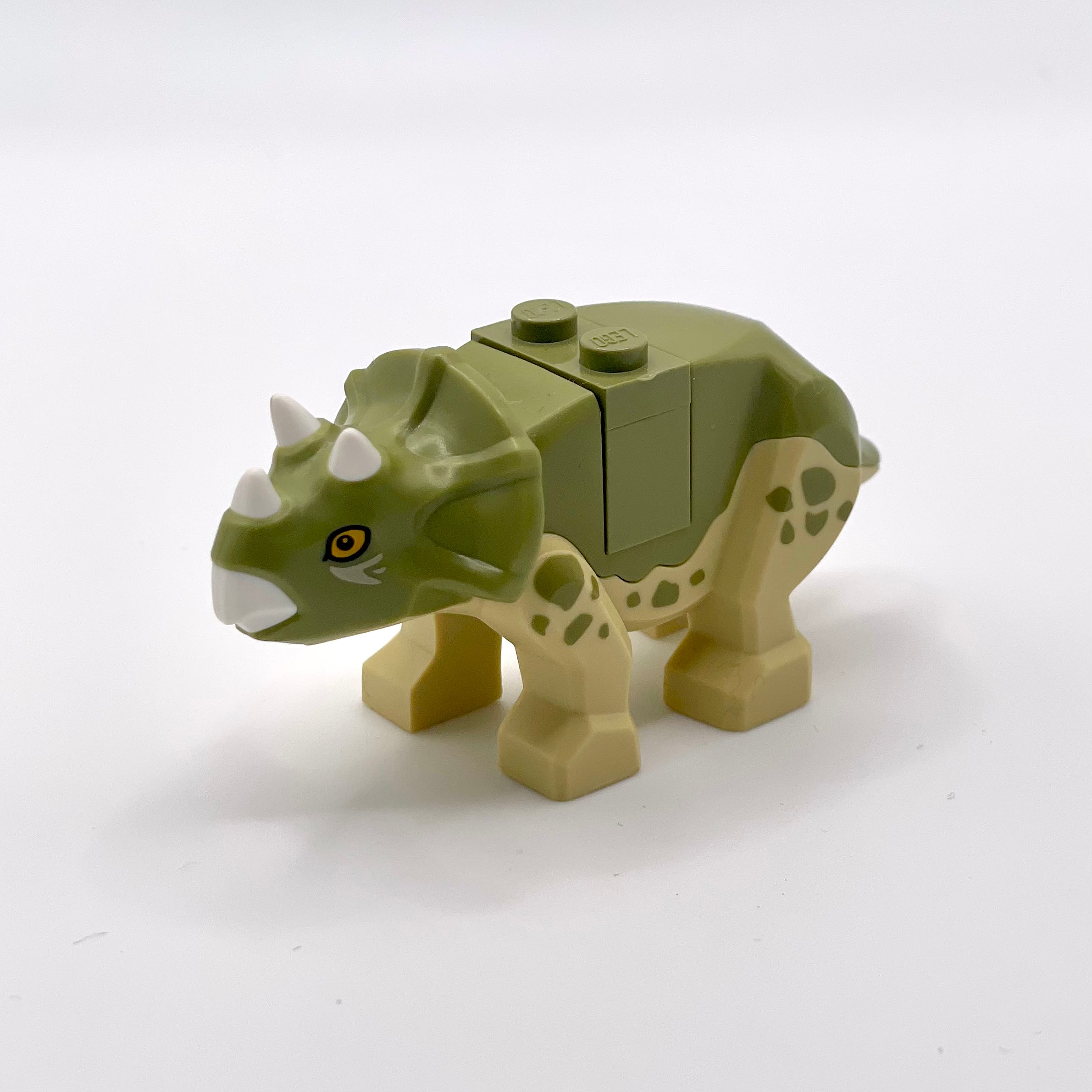Dinosaur Triceratops Baby