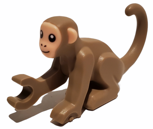 Monkey