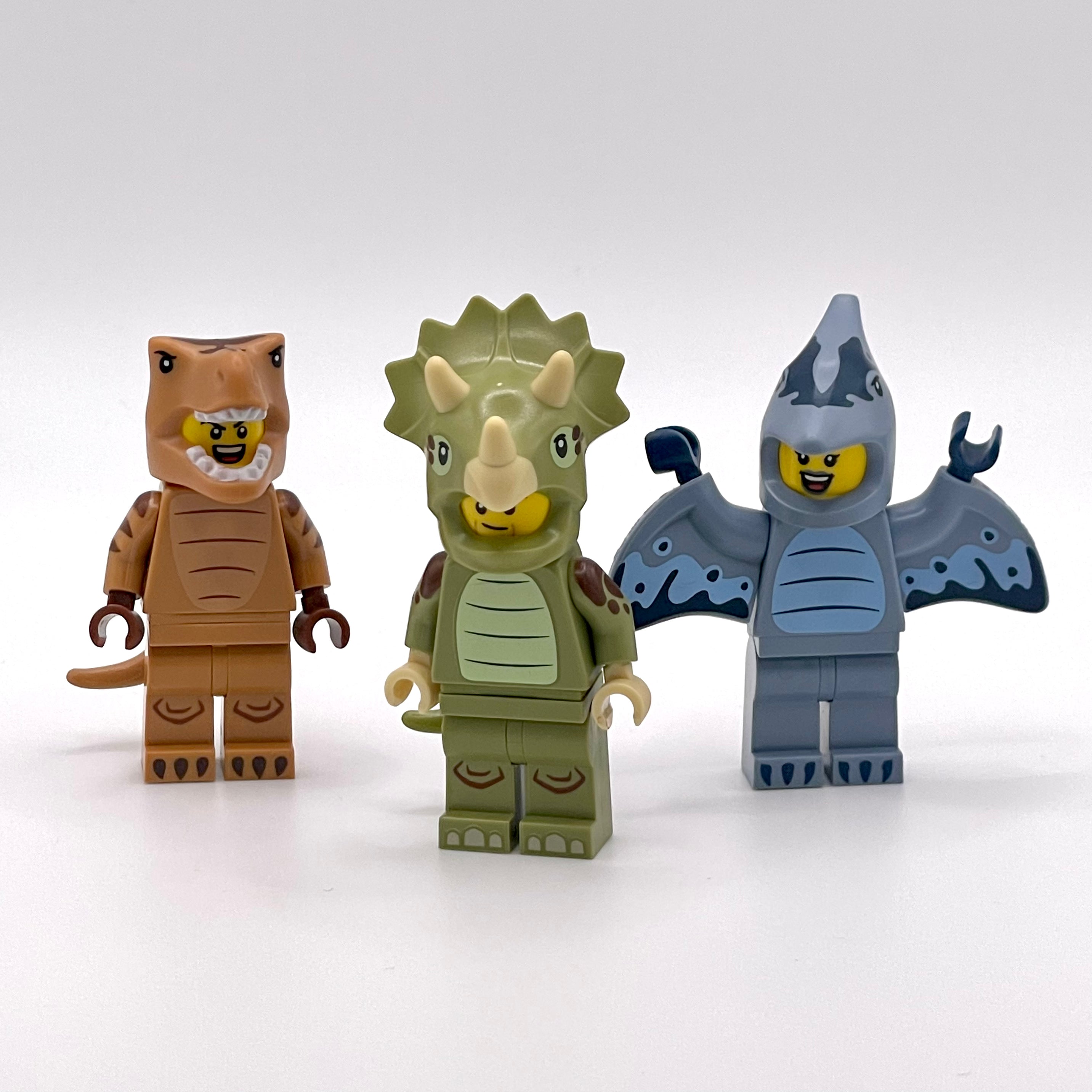 Dinosaur Suit Set