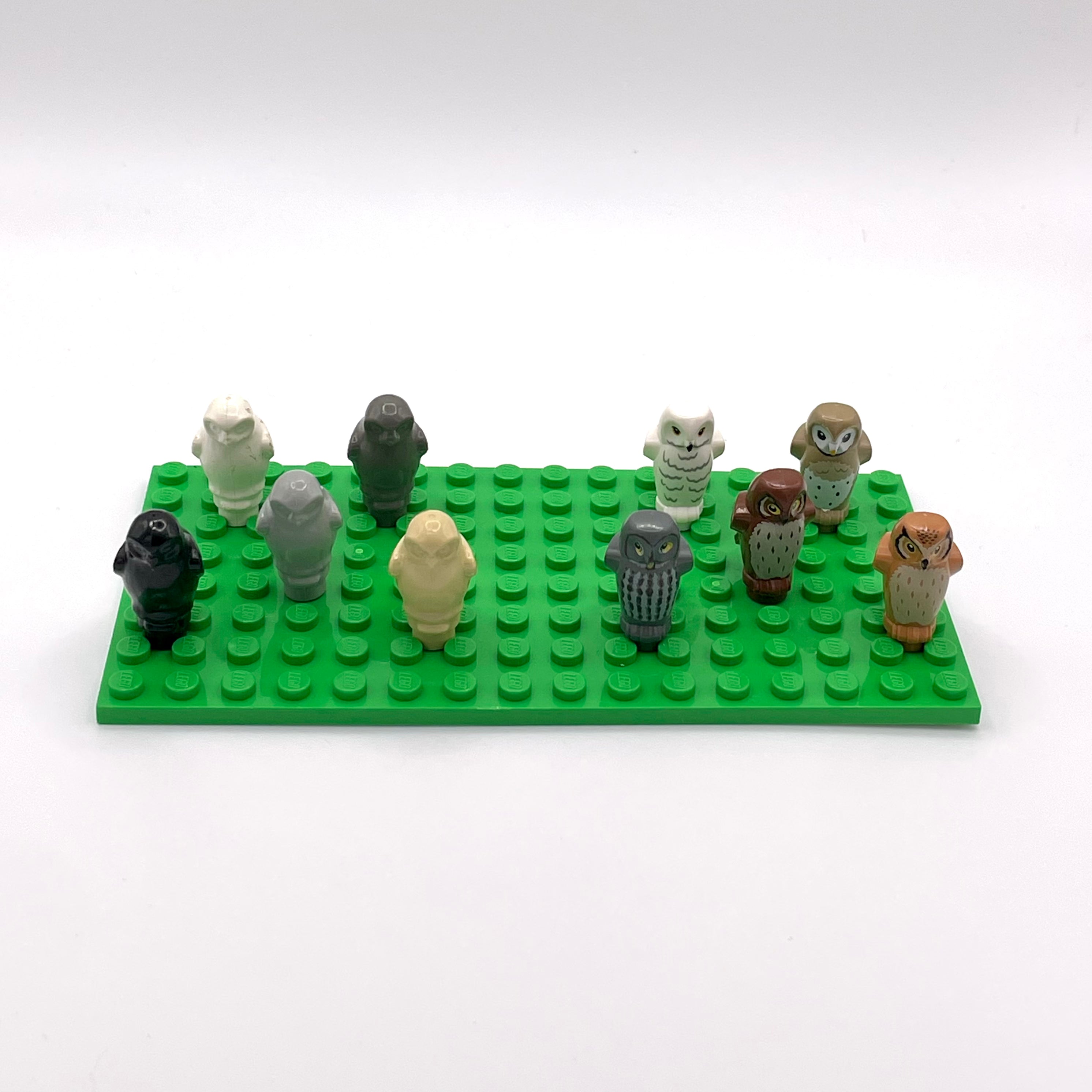 Harry Potter Owl Set of 10 (Baseplate NOT included)
