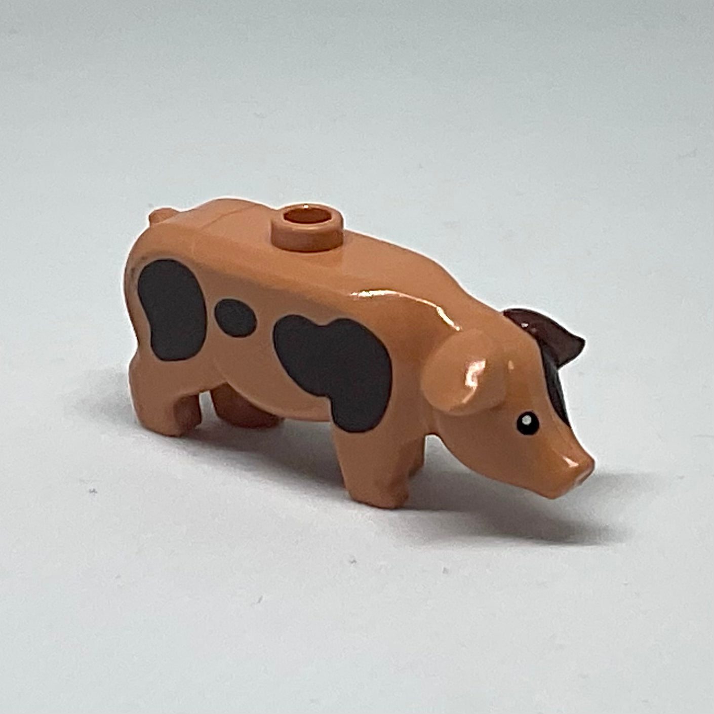 Pig with Black Eyes, Dark Brown Spots Pattern