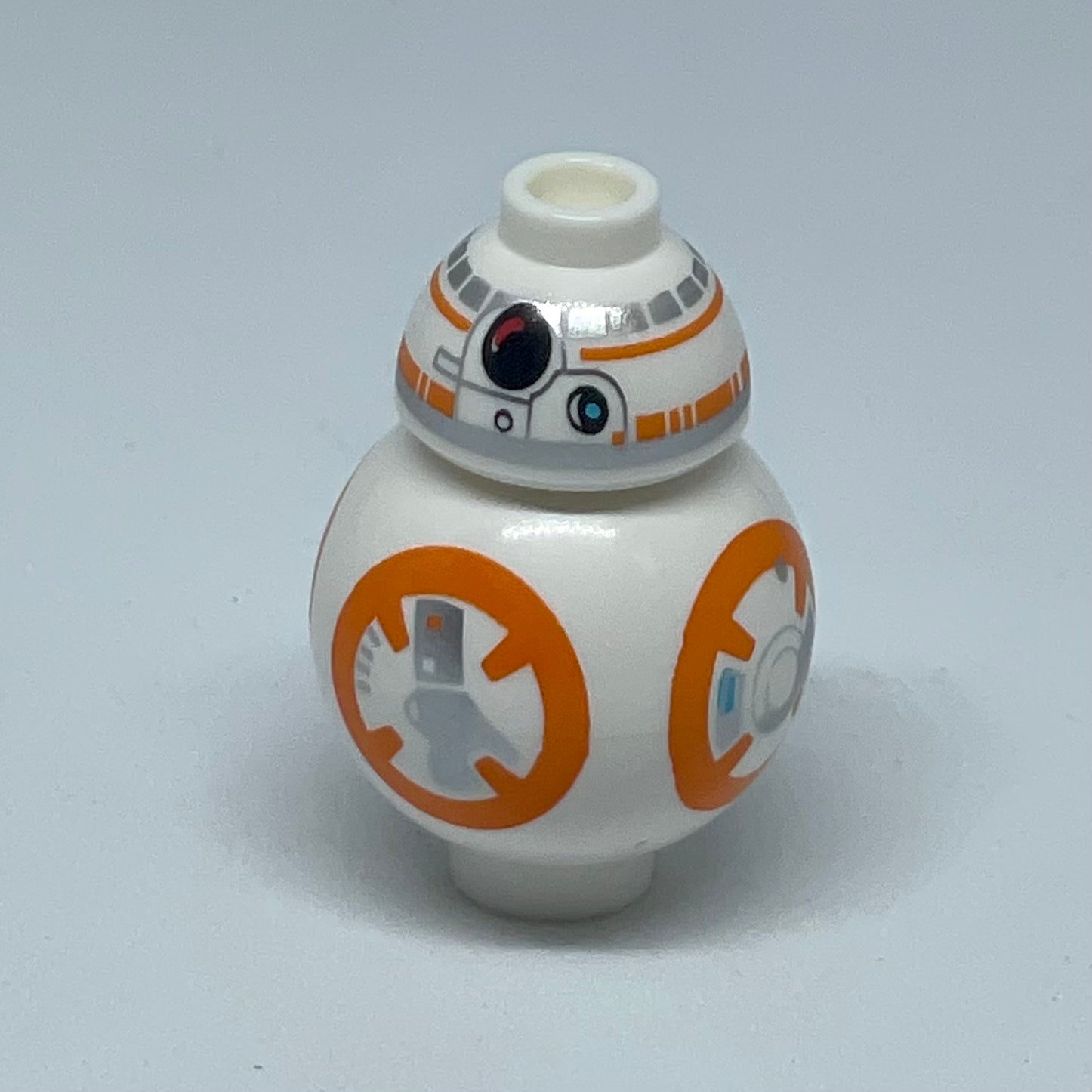 BB-8 (Large Photoreceptor)